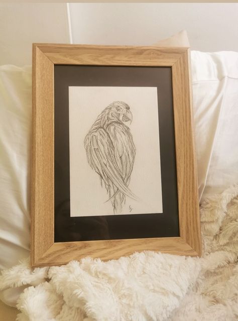 Pencil to paper to art #sketch #bird #art #pencil #frame Pencil Drawings, Framed Pencil Drawings, Sketch Bird, Drawing Frames, Pencil Sketches, Art Pencil, Pencil Drawing, Bird Art, Sketch