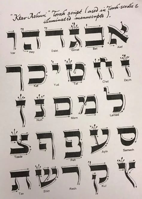 Hebrew Alphabet Calligraphy, Hebrew Alphabet Letters, Learn Hebrew Alphabet, Hebrew Language Learning, Hebrew Language Words, Hebrew Tattoo, Hebrew Calligraphy, Hebrew Vocabulary, Hebrew Quotes