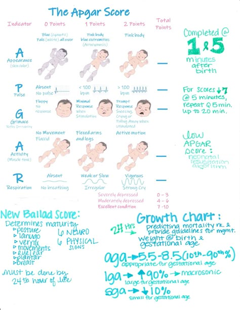 Nursing School Labor And Delivery, Maternity Notes Nursing, Nicu Nurse Cheat Sheet, Newborn Assessment Cheat Sheet, Labor And Delivery Nursing School, Labor And Delivery Nurse Cheat Sheet, Labor And Delivery Nurse Education, Ob Nursing Student Cheat Sheets, Midwifery Notes