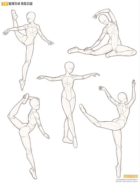 Reference Photos Dancing, Ballet Anatomy Drawing, Ballerina Poses Reference Drawing, Ballet Pose Reference Drawing, Flexible Pose Reference Drawing, Puppet Pose Reference Drawing, Ballerina Assassin, Ballet Drawing Reference, Dance Pose Drawing