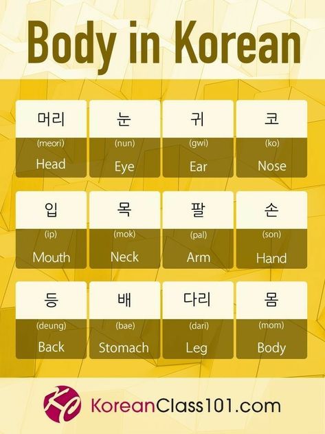 Parts Of The Body In Korean, Korean Speaking Practice, 100 Most Common Korean Words, Body Parts In Korean, Body In Korean, Korean Practice, Struktur Teks, Learning Korean Grammar, Korean Slang