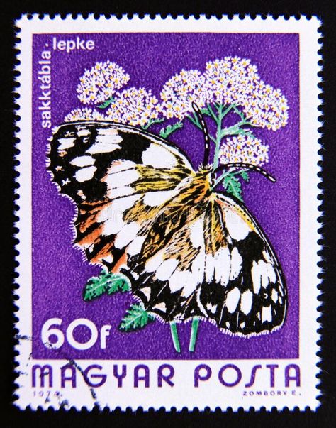 Postage stamp Hungary, Magyar, 1974. Marbled White butterfly Melanargia galathea royalty free stock photography طوابع بريد, Postage Stamp Design, Going Postal, Post Stamps, Butterfly Stamp, Old Stamps, Bug Art, Postage Stamp Art, Vintage Postage Stamps