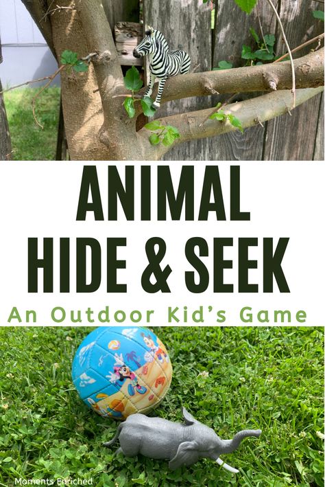 Jungle Outside Activities, Animal Outside Activities, Outdoor Animal Activities Preschool, Wildlife Preschool Activities, Animal Summer Camp Activities, Animal Week Summer Camp, Animal Camp Activities, Animal Adventure Activities, Animal Games For Preschoolers