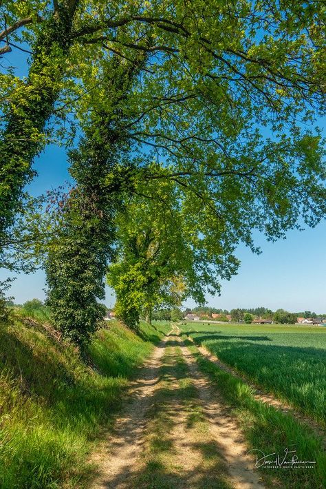 Country Sunset, Mountain Lakes, Beautiful Roads, Country Roads Take Me Home, Dappled Light, Cottage Life, Nature View, Sunset Landscape, Enjoy Nature