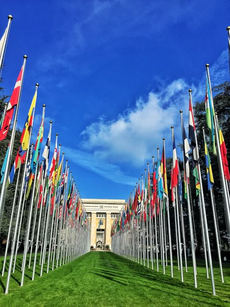 United Nations Geneva Switzerland United Nations Geneva, Model United Nations Aesthetic, United Nations Aesthetic, Diplomatic Aesthetic, International Relations Aesthetic, Model United Nations, United Nations Headquarters, Switzerland Vacation, International Flags