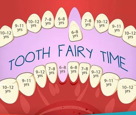 Dental Assistant Study, Kedokteran Gigi, Dental Hygiene School, Dental Fun, Kids Teeth, Loose Tooth, Dental Life, Baby Facts, Dental Humor