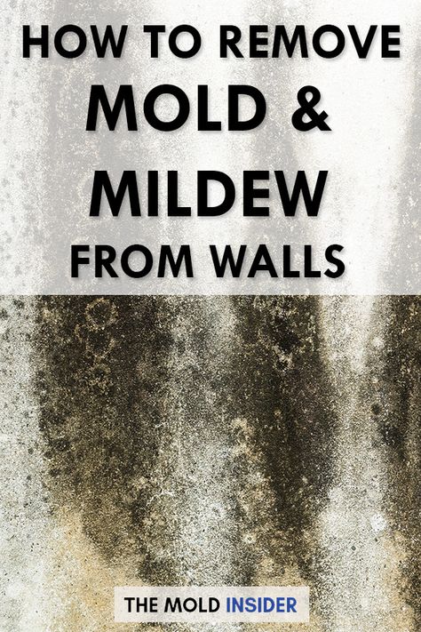 How To Remove Mold From Bathroom Walls, Homemade Mold Remover, How To Remove Black Mold From Walls, How To Get Rid Of Mould On Walls, Natural Mold And Mildew Remover, Mold Remover Bathroom Walls, How To Remove Mold From Basement Walls, How To Remove Mildew From Clothes, Homemade Mold And Mildew Remover