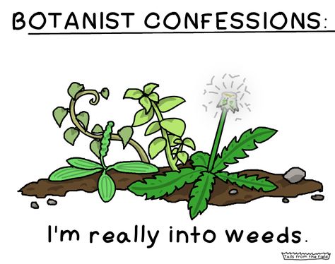 Botany Memes Funny, Botany Quotes, Future Landscape, Science Humor Chemistry, Plant Jokes, Mini Presents, Landscape Planner, Biology Humor, Montessori Elementary