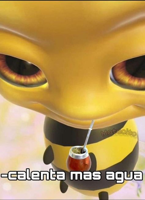 Mate Idea, Yerba Mate, Meme Stickers, Meme Template, Reaction Pictures, Mood Pics, Funny Images, Funny Pictures, Funny Quotes