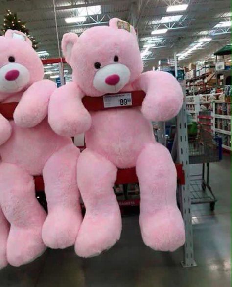 Expensive Teddy Bear, Giant Pink Teddy Bear, Pink Teddy Bear Aesthetic, Big Pink Teddy Bear, Huge Teddy Bears, Fluffy Stuffed Animals, Fluffy Teddy Bear, Kawaii Items, Large Teddy Bear