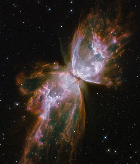 Butterfly Nebula, Hubble Space Telescope Pictures, Hubble Space Telescope Images, Supernova Explosion, Planetary Nebula, Helix Nebula, Nasa Hubble, Carina Nebula, Hubble Images