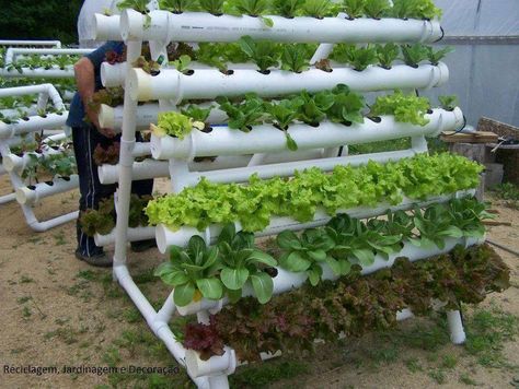 horizontal PVC pipe planter Gemüseanbau In Kübeln, Vertical Vegetable Gardens, Vertical Vegetable Garden, Plants Growing, Creative Gardening, Hydroponic Gardening, Garden Bed, Veggie Garden, Growing Food