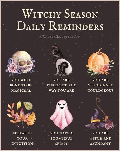 Autumn Crystals Aesthetic, Pagan Lifestyle Aesthetic, Witchy Halloween Aesthetic, Witchy Corner, Different Types Of Witches, Magickal Tips, Witchy Autumn, Cottage Witch Aesthetic, Types Of Witches