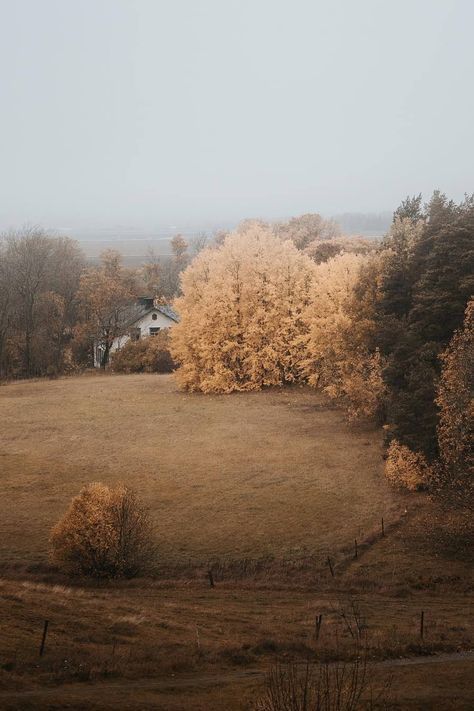 Uppsala Sweden, Foto Art, Best Seasons, Autumn Vibes, Winter Forest, Autumn Cozy, Autumn Aesthetic, Samhain, Autumn Inspiration