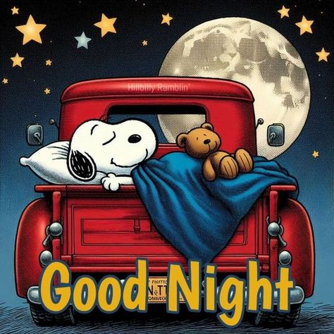 Get Well Snoopy, Snoopy And Friends Peanuts Gang, Snoopy Evening, Snoopy Good Night, Good Night Snoopy, Goodnight Snoopy, Goodnight Baby, Goodnight Images, Evening Blessings