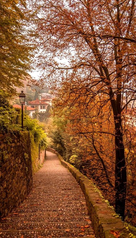 autumn in Bergamo, Italy Halloween In Italy, Barcelona Autumn, Fall In Italy, Autumn In Italy, Italy In The Fall, Italian Autumn, Italy Luca, Italy Bergamo, Autumn Italy