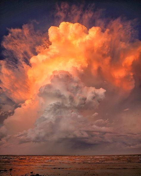 Breathtaking Earth on Twitter: "A breathtaking sunset over Moreton Bay in Sandgate, Queensland https://t.co/aFjQ5gCtNj" Stormy Sunset, Earth Pictures, Clouds Photography, Cloud Art, Amazing Sunsets, Sky Art, Queensland Australia, Sunset Sky, Jolie Photo