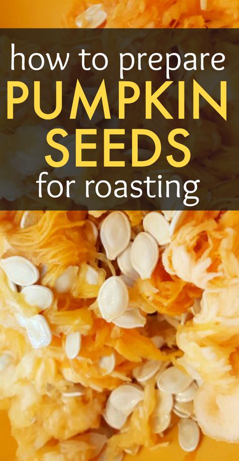 Pumpkin Seed Roasting Recipe, Homemade Roasted Pumpkin Seeds, Different Flavors Of Pumpkin Seeds, How To Dry Pumpkin Seeds To Eat, How Do You Make Pumpkin Seeds, How To Clean And Roast Pumpkin Seeds, Pumpkin Seed Recipe Baked, Dried Pumpkin Seed Recipes, How Do You Roast Pumpkin Seeds