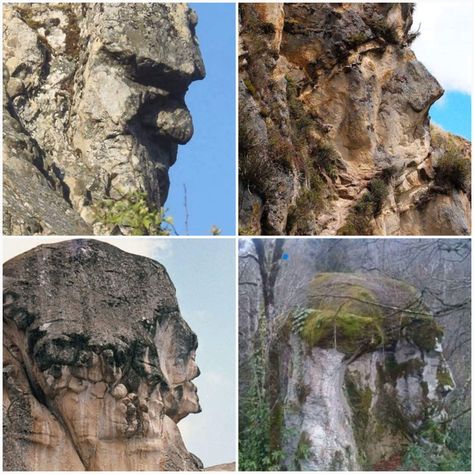 Mud Fossil University, Mudfossils Giants, Mud Fossils Giants, Petrified Giants, Human Giant, Nephilim Giants, Giant People, Turn To Stone, Giant Tree