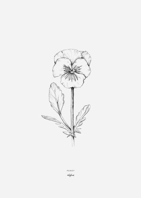 Pansy Tattoo, Flor Tattoo, Modern Florals, 심플한 그림, Pansy Flower, White Drawing, Flower Sketches, Pansies Flowers, Desenho Tattoo