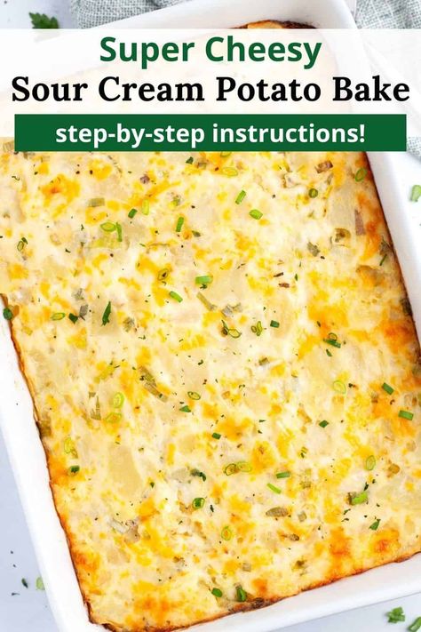 This Sour Cream Potato Bake Recipe is the ultimate comfort food, perfect for potlucks and Sunday dinners. Made with russet potatoes, creamy sour cream, sharp cheddar cheese, and fresh green onions, it's a side dish that'll be gone in no time. Plus, you can make it ahead and bake when ready! Cheesy Sour Cream Potatoes, Sour Cream And Potato Recipes, Potatoes And Sour Cream Recipe, Cheesy Potato Pie, Sour Cream Potatoes Casserole, Sour Cream Potato Bake, Potato And Sour Cream Recipes, Cheesy Russet Potato Recipes, Sour Cream And Chive Scalloped Potatoes