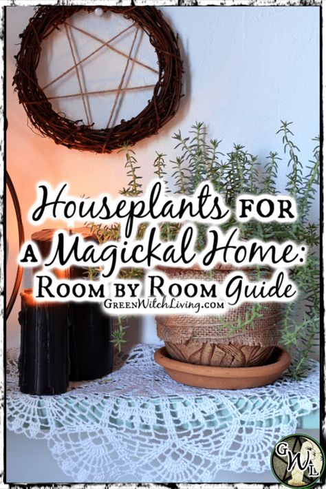 House Plants For Witches, Indoor Witch Garden, Green Witch Aesthetic Bedroom, Green Witch Interior, Green Witch Aesthetic Home Living Room, Green Witch Kitchen Aesthetic, Green Witch Living Room, Witch Bathroom Aesthetic, Green Witch Home Decor