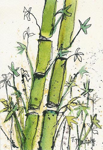 Watercolor and India Ink Dimencions:  4.5 x 6.5 inches Ready for a mat with a 4x6 inch opening Bamboo Drawing, Tinta China, Artist Sketchbook, Nature Drawing, Watercolor Wallpaper, India Ink, Camping Art, Profile Page, Art Drawings For Kids