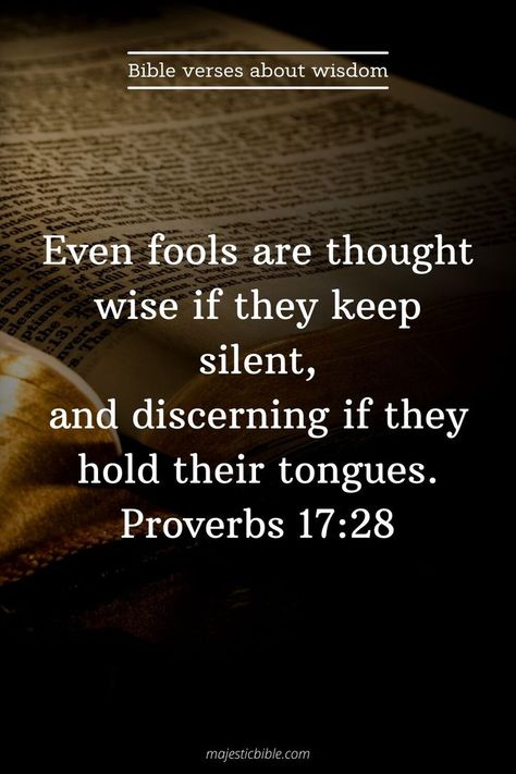 Discernment Quotes, Family Quotes Truths, Verses About Wisdom, Tongue Quote, More Life Quotes, Keep Silent, Silent Quotes, Christian Quotes Scriptures, Ecclesiastes 7