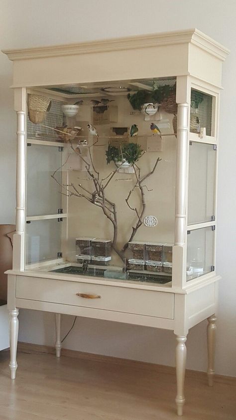 Indoor Bird Aviary, Indoor Aviary, Diy Bird Cage, Bird Cage Design, Pet Bird Cage, Bird House Kits, Bird Aviary, Bird Cage Decor, Diy Birds