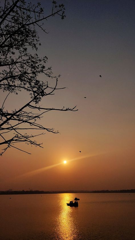 River, lake, boat, sunset, tree, nature, sun Sun Aesthetic, Perfect Sunset, Sunset Rose, Beautiful Sunset, The River, Nature Photography, Sun, Photography, Quick Saves