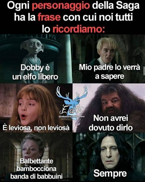 VIETATO L'ACCESSO AI BABBANI Questa è una raccolta di meme del nost… #umorismo # Umorismo # amreading # books # wattpad Harry Potter Friends, Harry Potter Quiz, Harry Potte, Harry Potter Ron, Harry Potter Comics, Harry Potter Gif, Harry Potter Tumblr, Funny Photo, Harry Potter Anime