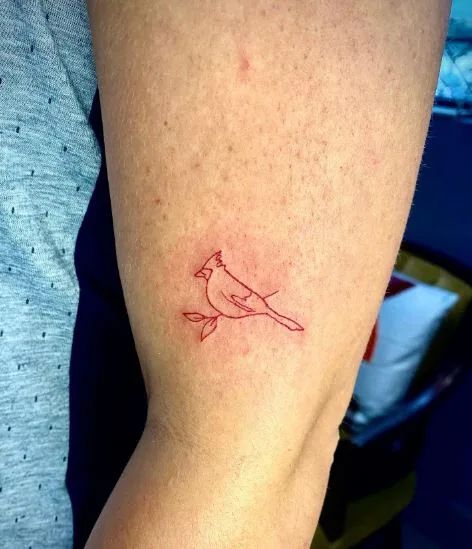 120 Cardinal Tattoo Ideas That Will Give Your Ink Meanings Red Cardinal Outline Tattoo, Robin And Cardinal Tattoo, Hummingbird Cardinal Tattoo, Bird Tattoo Cardinal, Matching Cardinal Tattoos, Cardinal And Dove Tattoo, Fineline Cardinal Tattoo, Minimalist Cardinal Tattoo Outline, Red Cardinal Bird Tattoo