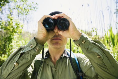 There should be more to your birding library than just field guides … read on for our list of essential reading for the bird-brained bibliophile. Citizen Scientist, Nature Scavenger Hunt, Dream Library, Citizen Science, Pond Life, Well Read, Nature Conservation, Field Guide, Gulf Of Mexico