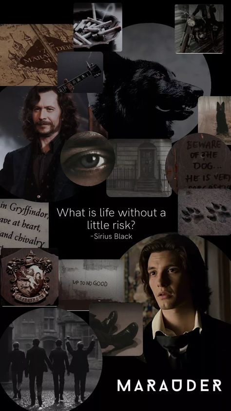 Sirius Black Check more at https://blogdoarmindo.com.br/sirius-black-2/ The Muradures, Marauders Era Aesthetic, Moony Padfoot, Hp Marauders, Marauders Aesthetic, Hp Universe, Hogwarts Dr, Harry Potter Scene, Potter Facts