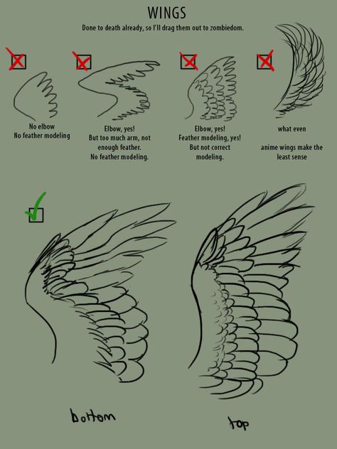 http://referencesforartists.tumblr.com/post/34509711433/birdblog-birdchannel-supaslim-here-have How To Draw Winged People, Wings How To Draw, Feathered Wings Drawing, Bird Wings Sketch, Drawing People With Wings, Bird Tail Reference, Bird Tail Drawing, Birds Wings Drawing, Drawing Wings On People