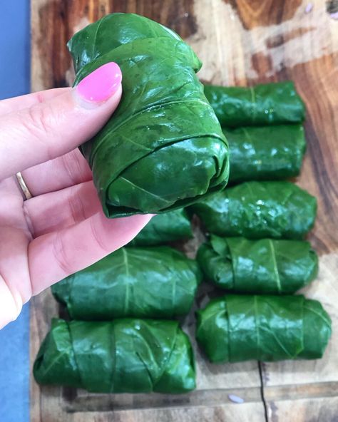 Dolmades made with Beetroot Leaves | Maximise your Harvest Beat Leaves Recipes, Stuffed Beet Leaves, Stuffed Beet Leaves Recipe, Beet Leaves Recipe, Beetroot Leaves Recipe, Beet Leaf Recipes, Homegrown Recipes, Beet Green Recipes, Beet Leaves