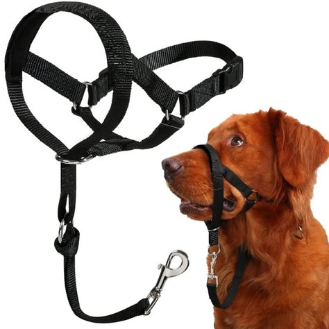 (Sponsored) Adjustable Dog Collar, No-Pull Dog Headcollar with Soft Padding, Easy Walk and Outdoor Training Harness, for Small Medium and Large Dog and Pets, Color Black, Medium Size #petsafegentleleaderheadcollar Head Halter For Dogs, Black Dog Harness, Dog Leash Collar Harness Set, Gentle Leader, Dog Harness No Pull, Dog Leash Training, Dog Harness With Handle, Dog Muzzle, Outdoor Training