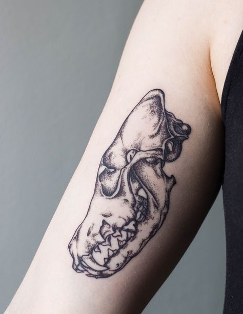 Coyote Skull - Tattoo People Toronto - Jess Chen (me) Wolf Skull Tattoo Design, Coyote Skull Tattoo, Wolf Skull Drawing, Dog Skull Tattoo, Wolf Skull Tattoo, Coyote Tattoo, Tricep Tattoos, Coyote Skull, Homemade Tattoos