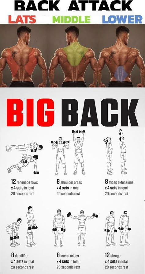 Wings Workout, Back Workout Men, Exercises For Men, Home Workout Men, Fitness Studio Training, Latihan Dada, Trening Sztuk Walki, Shoulder Exercises, Gym Antrenmanları