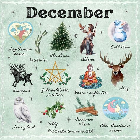 Alice Kendall | DECEMBER ✨🌲 What do you love most about December? I love the Solstice, all the magical lights and having some peaceful time off with the… | Instagram Snowy Owl, Instagram, Cold Moon, Sagittarius Season, Yule, I Love