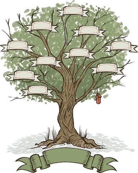 Family Tree Ideas Aesthetic, Family Tree Examples, Peta Pikiran, Family Tree Drawing, Family Tree Images, Family Tree Clipart, Unique Family Tree, Family Trees Diy, Genealogy Ideas