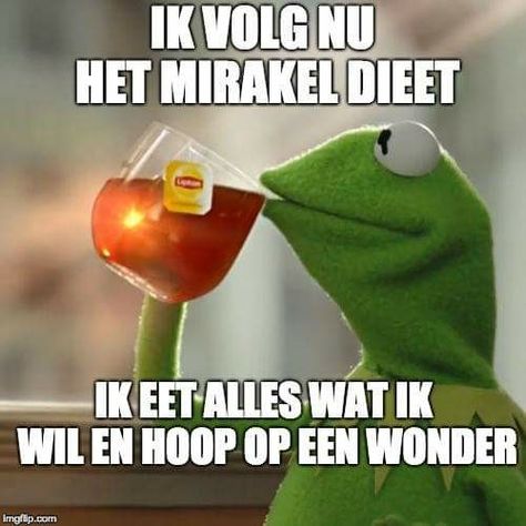 Kermit Meme, Kermit Funny, Dutch Quotes, Kermit The Frog, Christian Humor, Christian Memes, Gym Humor, Twisted Humor, The Frog