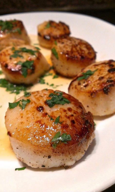 Pan-Seared Scallops - The Cook's Cook Easy Scallop Recipes, Recipe Shrimp, Scallop Dishes, Bacon Wrapped Scallops, Dried Scallops, Lobster Recipes Tail, Pan Seared Scallops, Fish Dinner Recipes, Unique Recipe