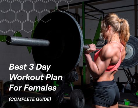 A 3-day workout split may be ideal for you if you're a busy female. It gives you plenty of time to enjoy other activities outside of the gym while still Women Split Workout, 3 Day Womens Gym Workout, 3 Day Split Workout Women At Home, 3 Day Gym Split Women, 3 Day Split Full Body Workout, Weight Lifting Split For Women, 3 Day Weight Lifting Plan, 3 Day Lifting Plan For Women, 3 Day Weight Lifting Plan For Women