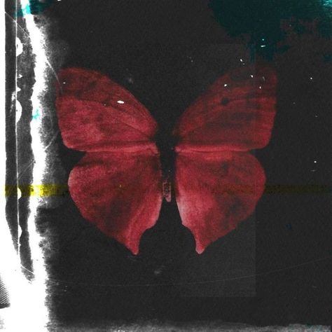 I See Red, Red Butterfly, Into Art, Ethereal Art, Alam Yang Indah, Aesthetic Images, Red Aesthetic, Aesthetic Photo, Dark Aesthetic