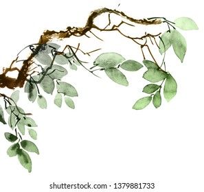 Tree Branch With Leaves, Tree Branch Tattoo, Watercolor And Ink Illustration, Tree Branch Art, Branch Drawing, Vine Drawing, Illustration Tree, Branch With Leaves, Branch Leaves