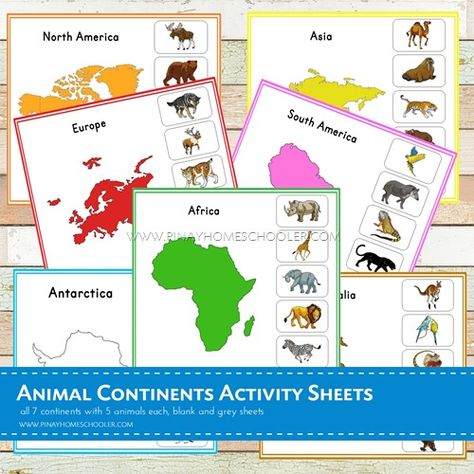 Montessori Inspired Animal Continents Activity Sheets Continents Activities, Montessori Geography, Practical Life Activities, 7 Continents, Printable Animals, Montessori Classroom, Animal Activities, Sorting Activities, Afterschool Activities