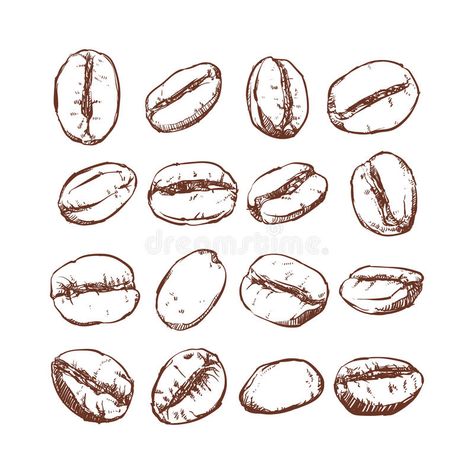 Coffee bean Isolated Hand drawn vector, sketch of coffee beans vector illustration John Coffey, Coffee Vector, Coffee Facts, Tree Vector, Coffee Bean Grinder, Coffee Drawing, Coffee Grinds, Coffee Illustration, Gourmet Coffee