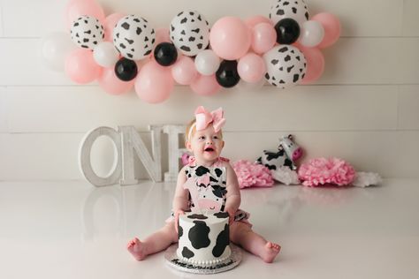 Cow 1st Birthday Pictures, Farm Theme Cake Smash Photo Shoot, Cow Cake Smash Photography, Cowgirl Cake Smash Photography, Cow Smash Cake Photoshoot, Cow 1st Birthday Photoshoot, Cow Birthday Photoshoot, Cow Cake Smash 1st Birthdays, Cow First Birthday Pictures