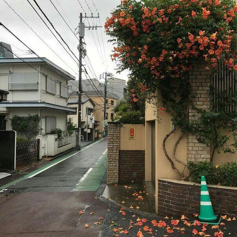 #autumn Japan Vibes, Japan Core, Japan Autumn, Japanese Countryside, Japan Street, Power Lines, Japan Aesthetic, Aesthetic Japan, Japanese Aesthetic